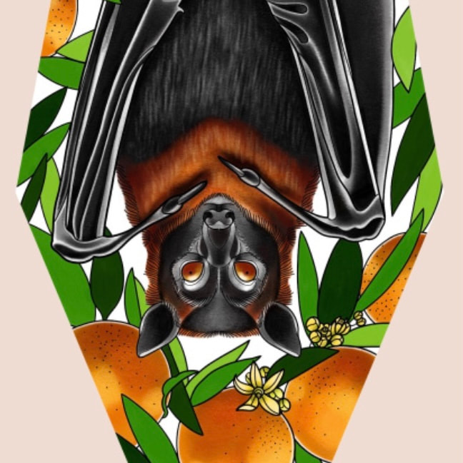 Fruit Bat Artist: GummyCharm 30x30cm